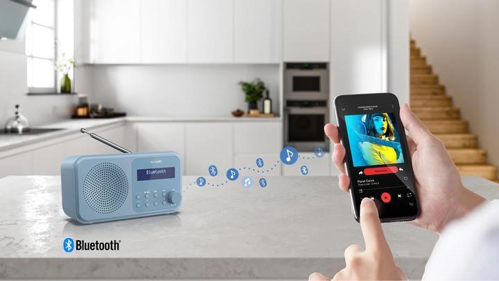 Immagine prodotto Sharp DR-P420 (FM, DAB, Bluetooth)