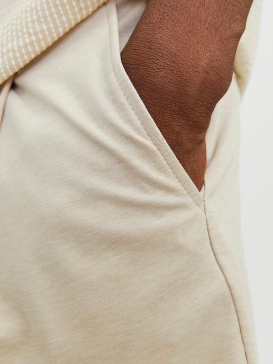 Image du produit Jack & Jones Wide Fit Chino Short Chino Short (M)