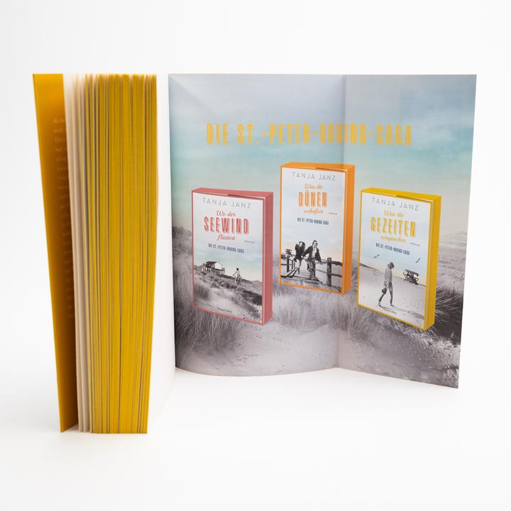 Produktbild Was die Gezeiten versprechen. Die St.-Peter-Ording-Saga (Deutsch, Tanja Janz, 2024)