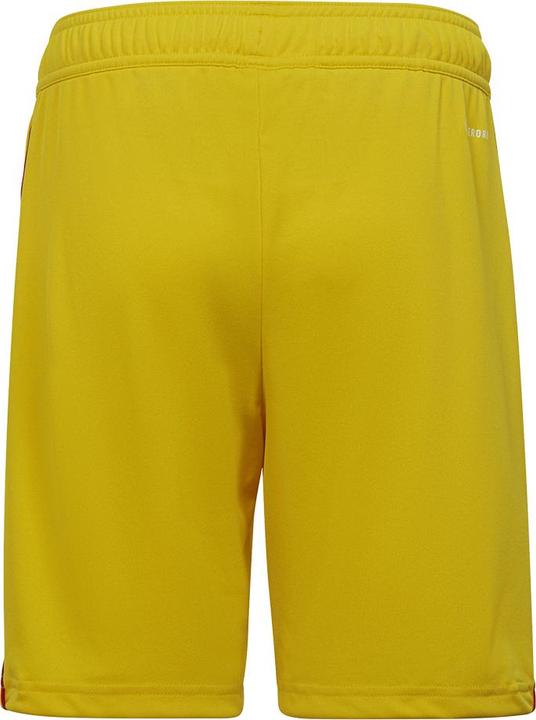 Actual product image adidas Tiro 23 training shorts kids (128)