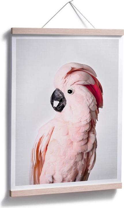 Image du produit Trenddeko Cacatoès rose (30 x 40 cm)