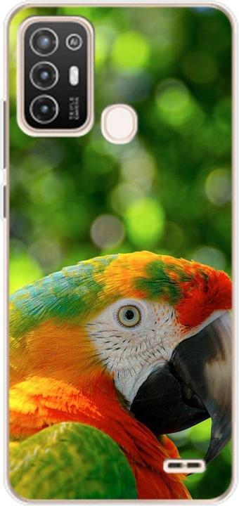 Parrot