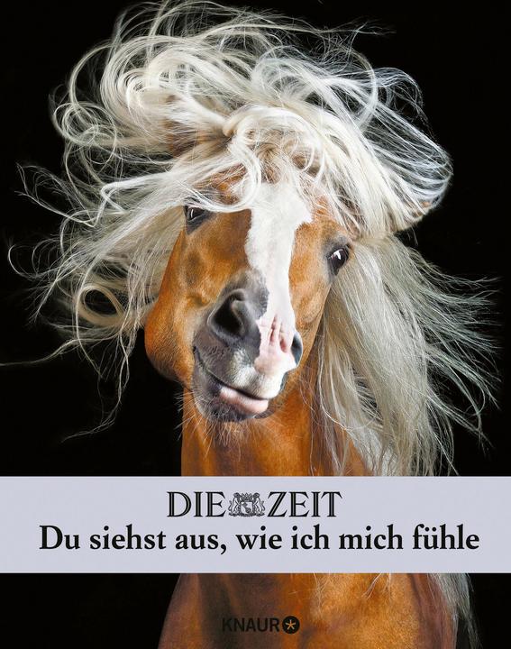 Produktbild Die Zeit. Du siehst aus, wie ich mich fühle (Deutsch, Malin Schulz, 2020)