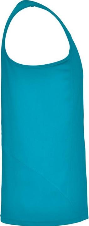 Actual product image Alpinia Mens Andre Sports Vest Top (L)