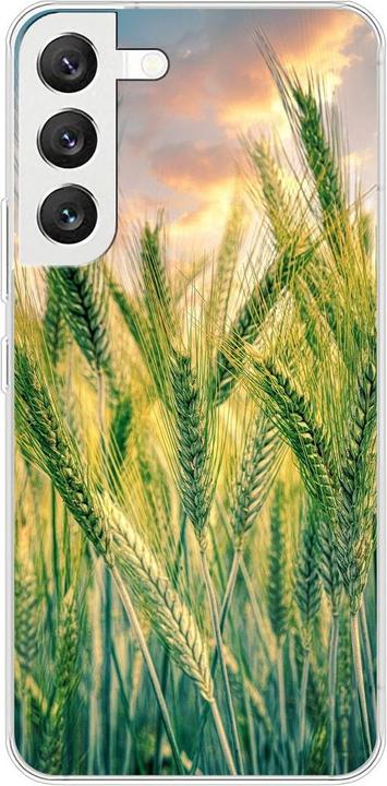 Cornfield