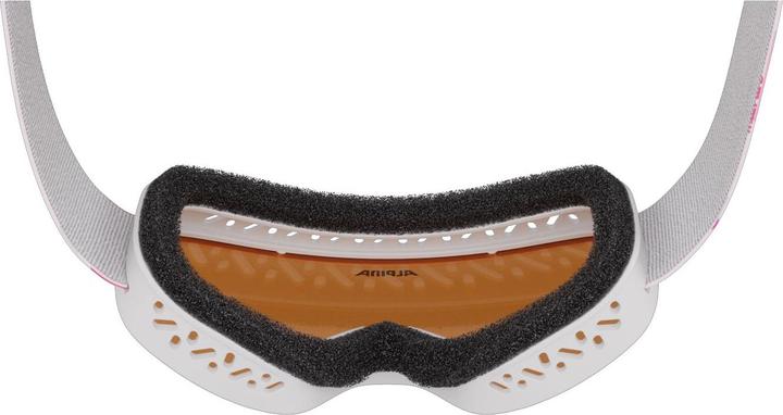 Actual product image ALPINA SPORTS Carvy 3.0