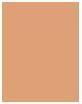 Actual product image Sisley Phyto-Teint Ultra Ã‰clat (3W2 Hazel)