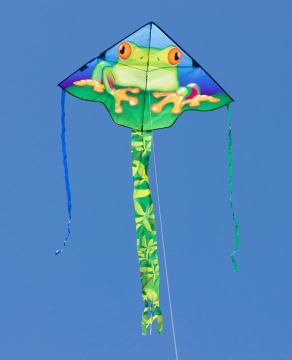 Actual product image Invento Children kite Simple Flyer Froggy