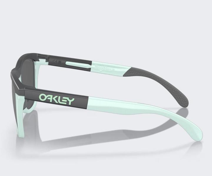 Actual product image Oakley Frogskins Range