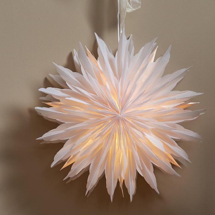 Actual product image Star Trading Dis