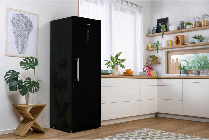Image du produit Gorenje GEC5A21WG (398 l)