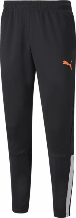 Actual product image Puma TeamLIGA track pants men (L)