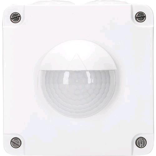 Image du produit Züblin AP Détecteur de mouvement Swiss Garde 300 AP IP55 (10 m)