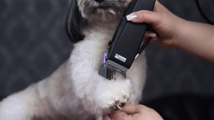 Produktbild Moser Hunde-Haarschneidemaschine (Hund)