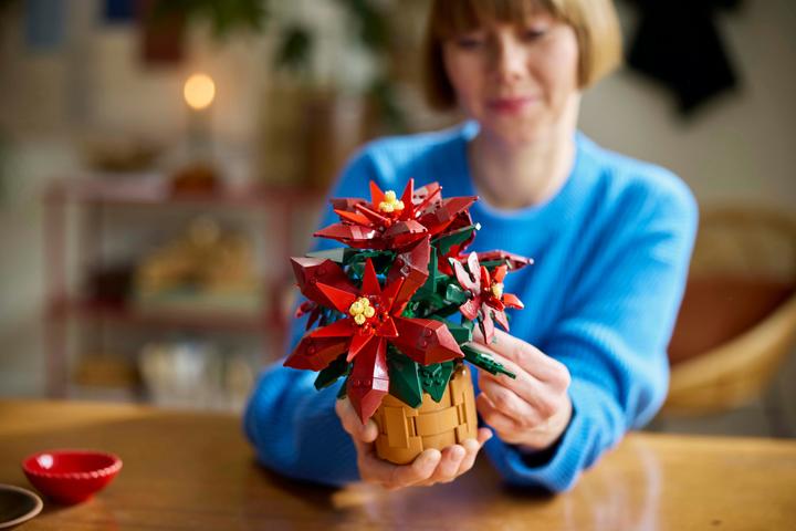 Productafbeelding LEGO Kerstster (10370, LEGO Icons)