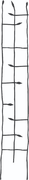 Plantes : accessoires