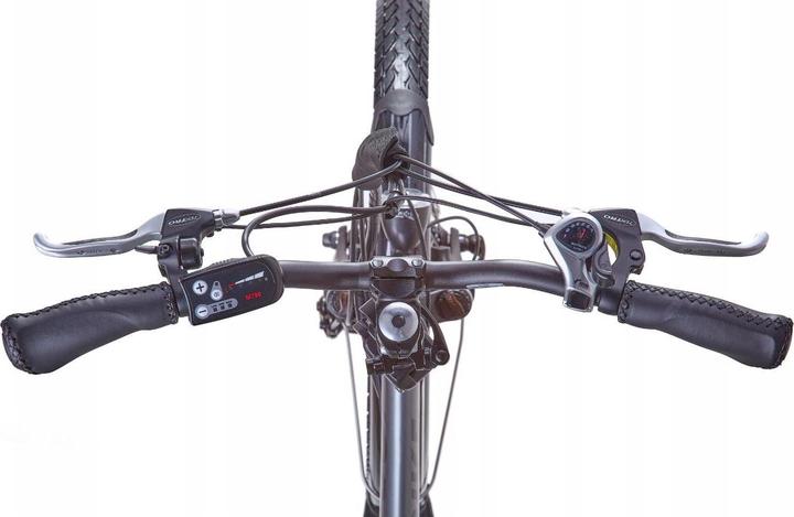 Image du produit Jobobike Sam - Składany Rower Elektryczny Miejski Dla Seniora 250W Szary