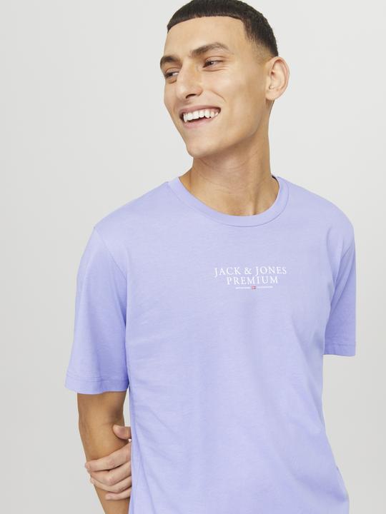Actual product image Jack & Jones Jprbluarchie Ss Tee Crew Neck Noos (M)