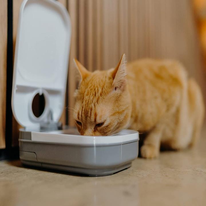 Actual product image Cat Mate C100