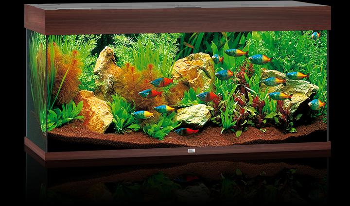 Image du produit Juwel Aquarium Rio (180 l)