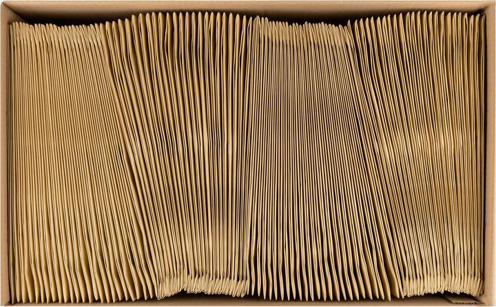 Image du produit Antalis Pochette à bulles d'air rembourrée en papier C4, 100 pièces (100 x)
