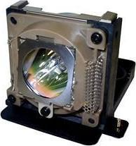 Actual product image BenQ Projector Lamp (PB6100)