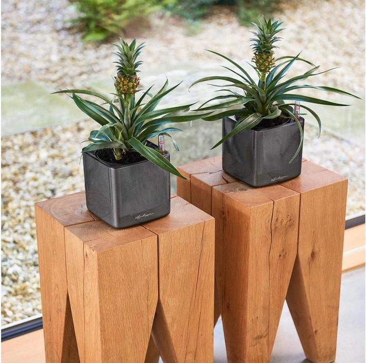Produktbild Lechuza Cube Glossy (14 cm)