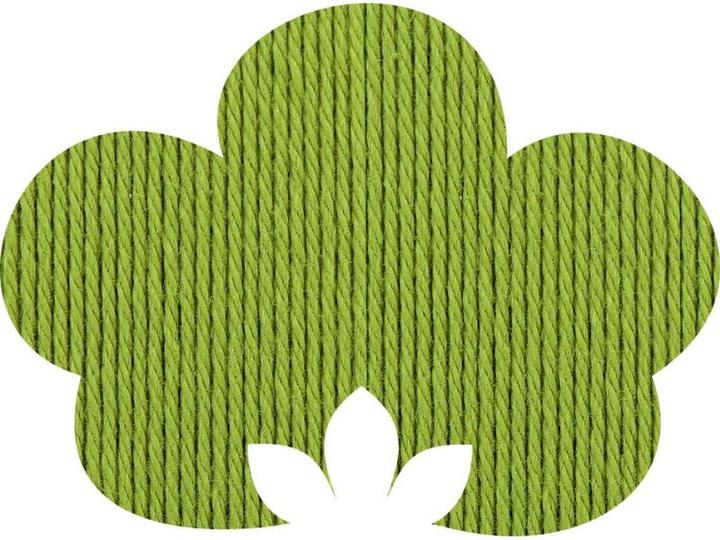 Actual product image Anchor 4-ply approx. 125 m 03722 pistachio 50 g (125 m)