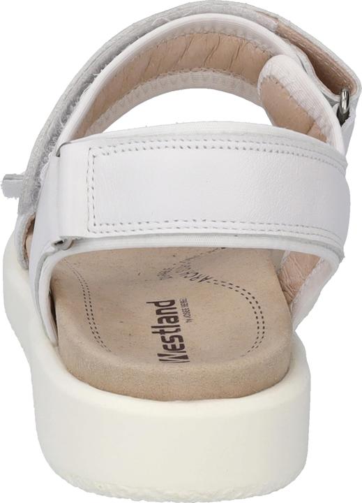 Actual product image Westland 25401-410 (40)
