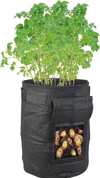 Image du produit Royal Gardineer Lot de 10 sacs de croissance pour plantes (20 cm, 20 cm)