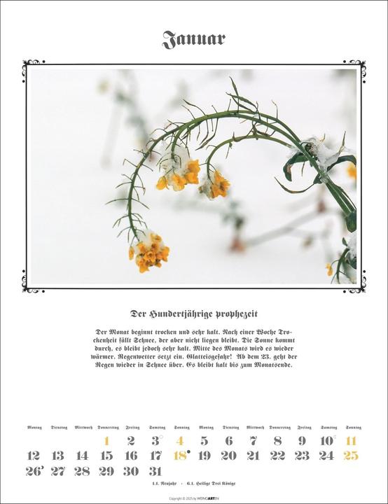 Produktbild Der Hundertjährige Kalender 2026 (30 x 39 cm, Deutsch)