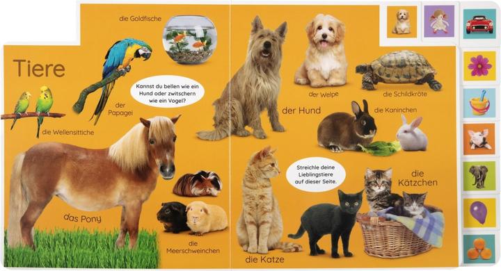Produktbild Erstes Lernen. Wörter (Deutsch, DK Verlag Dorling Kindersley, 2021)