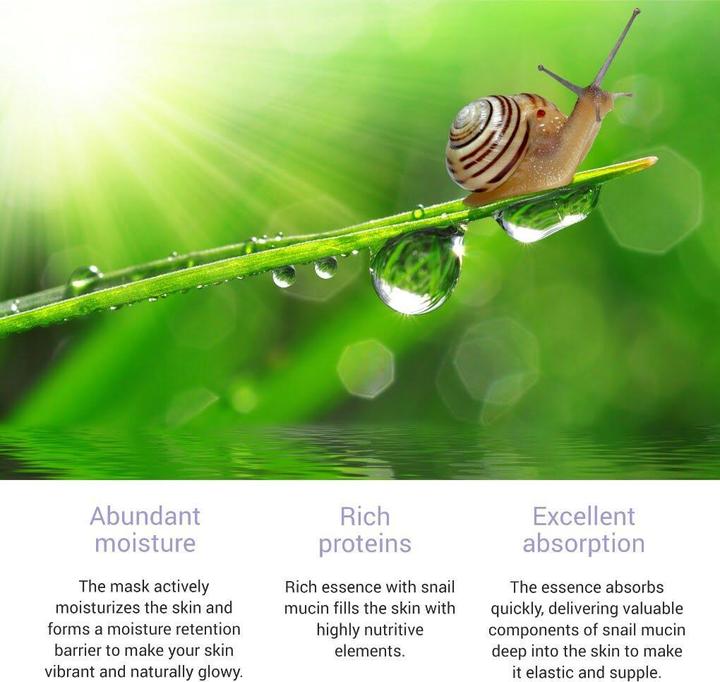 Actual product image Skinsomnia Snail Real Essence Mask (25 ml)