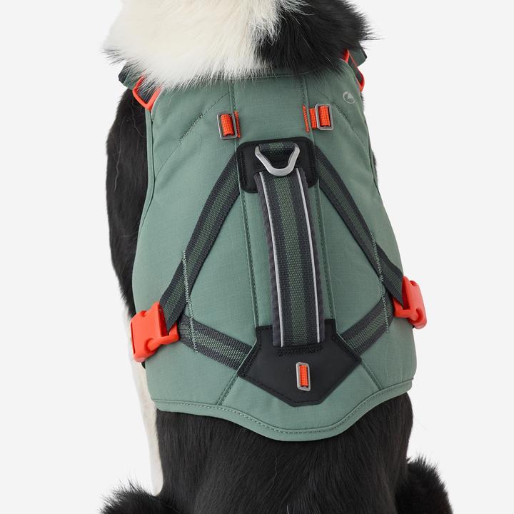 Actual product image Caperlan Hundegeschirr Wandern (S, Dog, Dog sport)