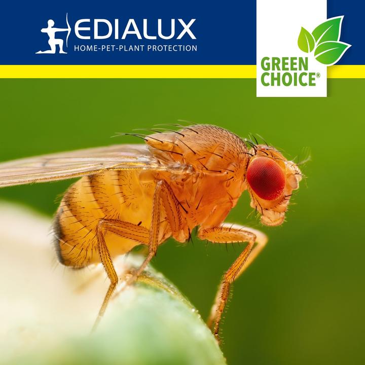 Productafbeelding Edialux Green Choice - Fruitvliegenval, 2 x 15ml