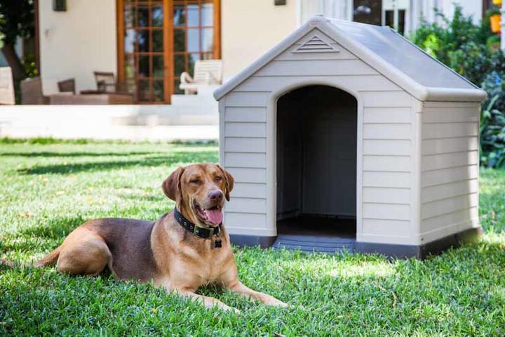 Produktbild Curver Hundehütte - Haus Für (Hundezwinger)