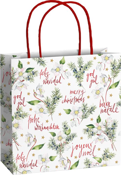 Immagine prodotto Stewo Borsa regalo (Borsa da regalo, 1 x)