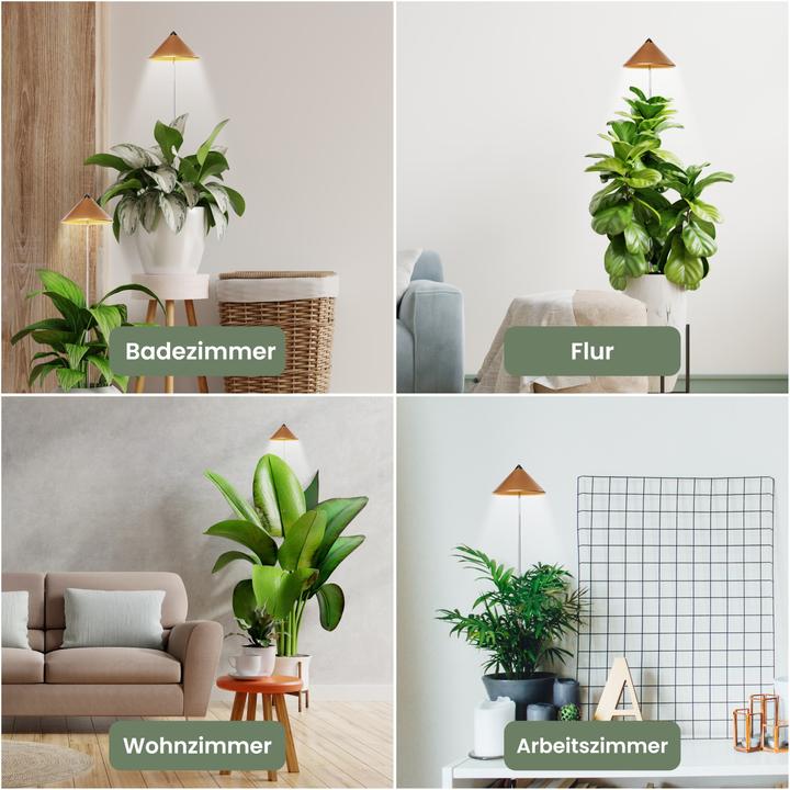 Productafbeelding Colibri Zonne (LED, 230 V)