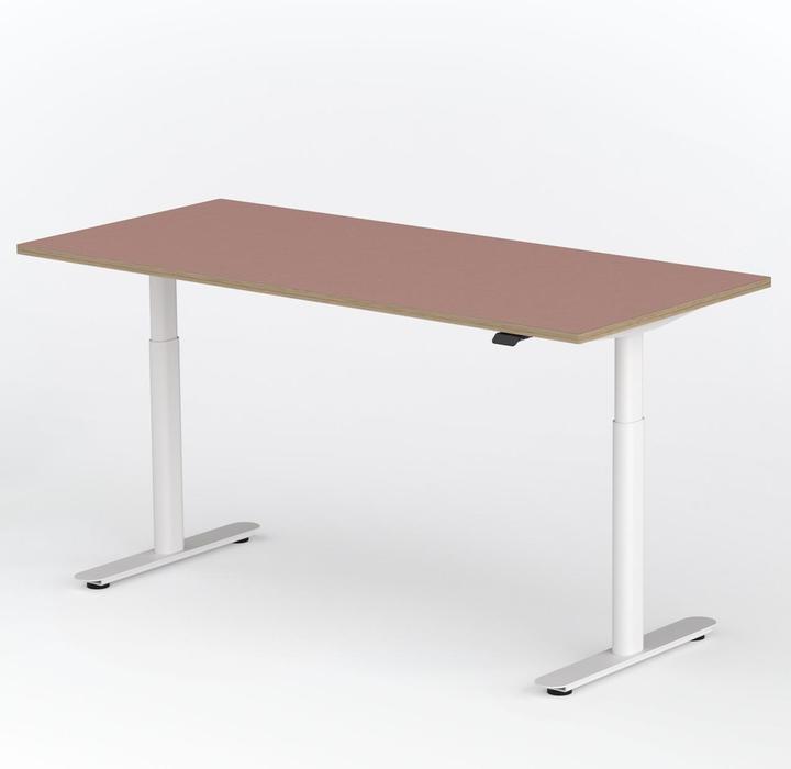 Actual product image ofinto Rise, mit Kabelmanagement-System