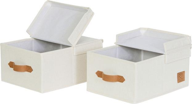 Love it Store it Set di 2 scatole con coperchio incernierato Premium - Piccolo (25 x 33 x 16 cm, 13.50 l)