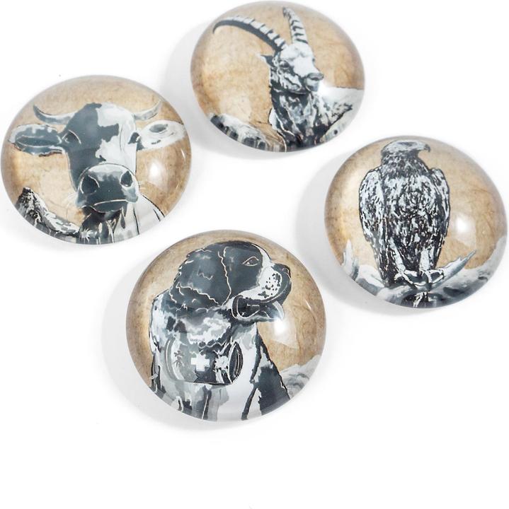 Produktbild Trendform EYE-Magnete BELLA & FRIENDS (4 x)