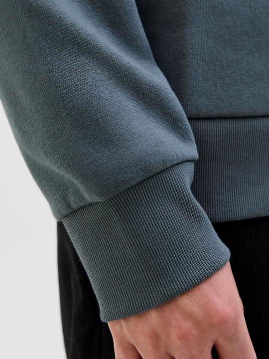 Immagine prodotto Jack & Jones JJELOGO SWEAT HOOD 2 COL 25/26 NOOS (L)