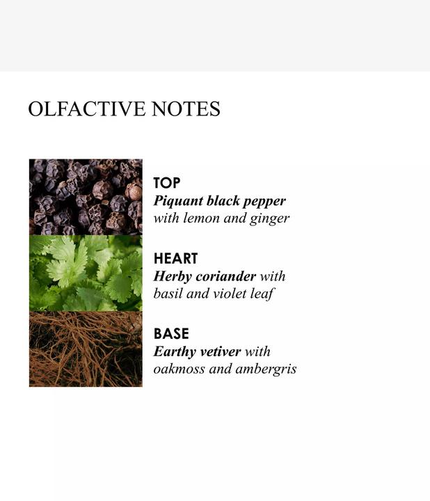 Actual product image Molton Brown Re-charge Black Pepper Bath & Shower Gel Refill (400 ml)