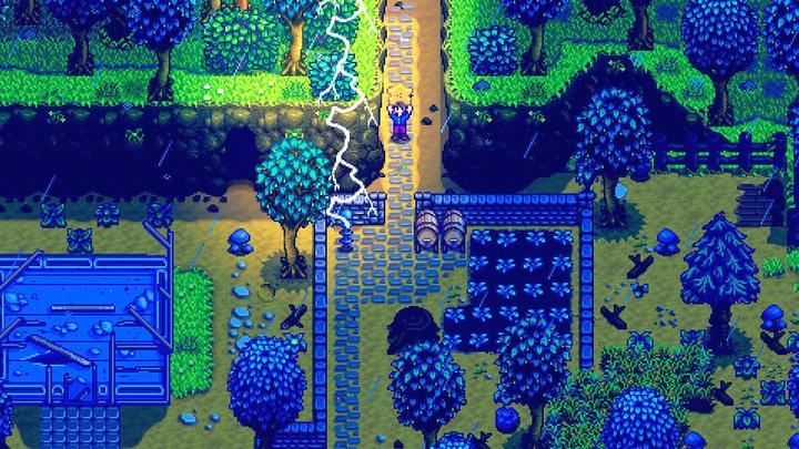 Image du produit Fangamer La vallée des étoiles (Switch, DE)