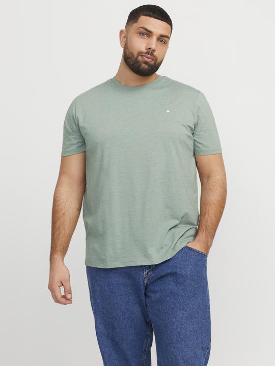Actual product image Jack & Jones Jjepaulos Tee Ss Crew Neck Noos Pls (4XL)