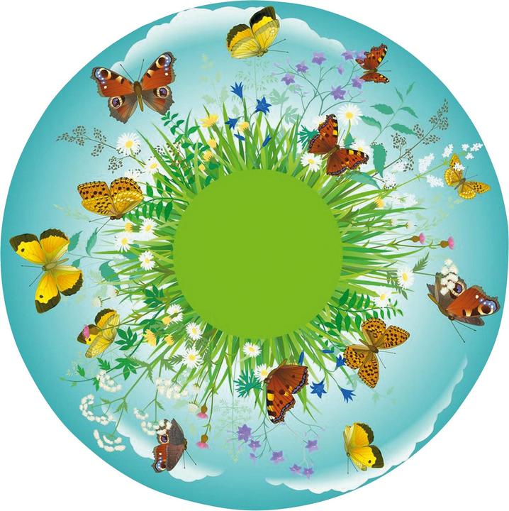 Immagine prodotto Sport-Thieme Ruota d'effetto