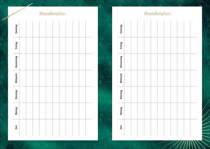 Produktbild Harry Potter Hogwarts Schülerkalender A5 2026 - 17 Monate ab August 2025 (A5, Deutsch)