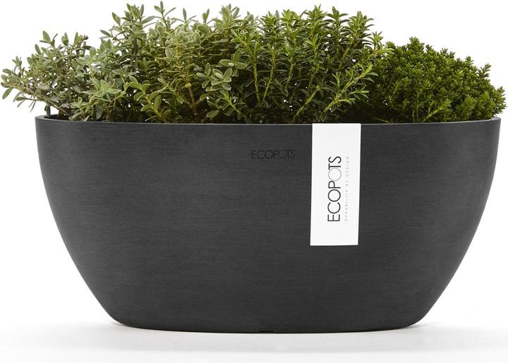 Produktbild Ecopots Sofia (13 cm)
