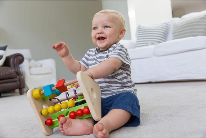 Actual product image EverEarth Activity Triangle