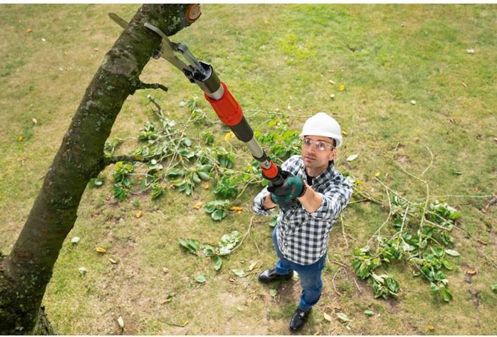 Actual product image Bosch Home & Garden AdvancedPrune 18V-45 cordless garden shears (1x2.0Ah) (long)